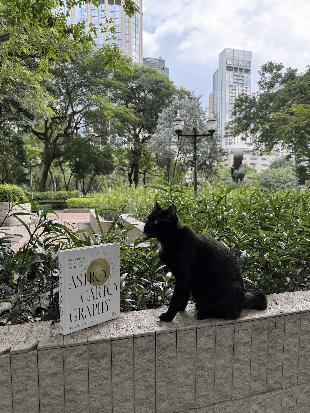 Astrocartography book with cats in the park