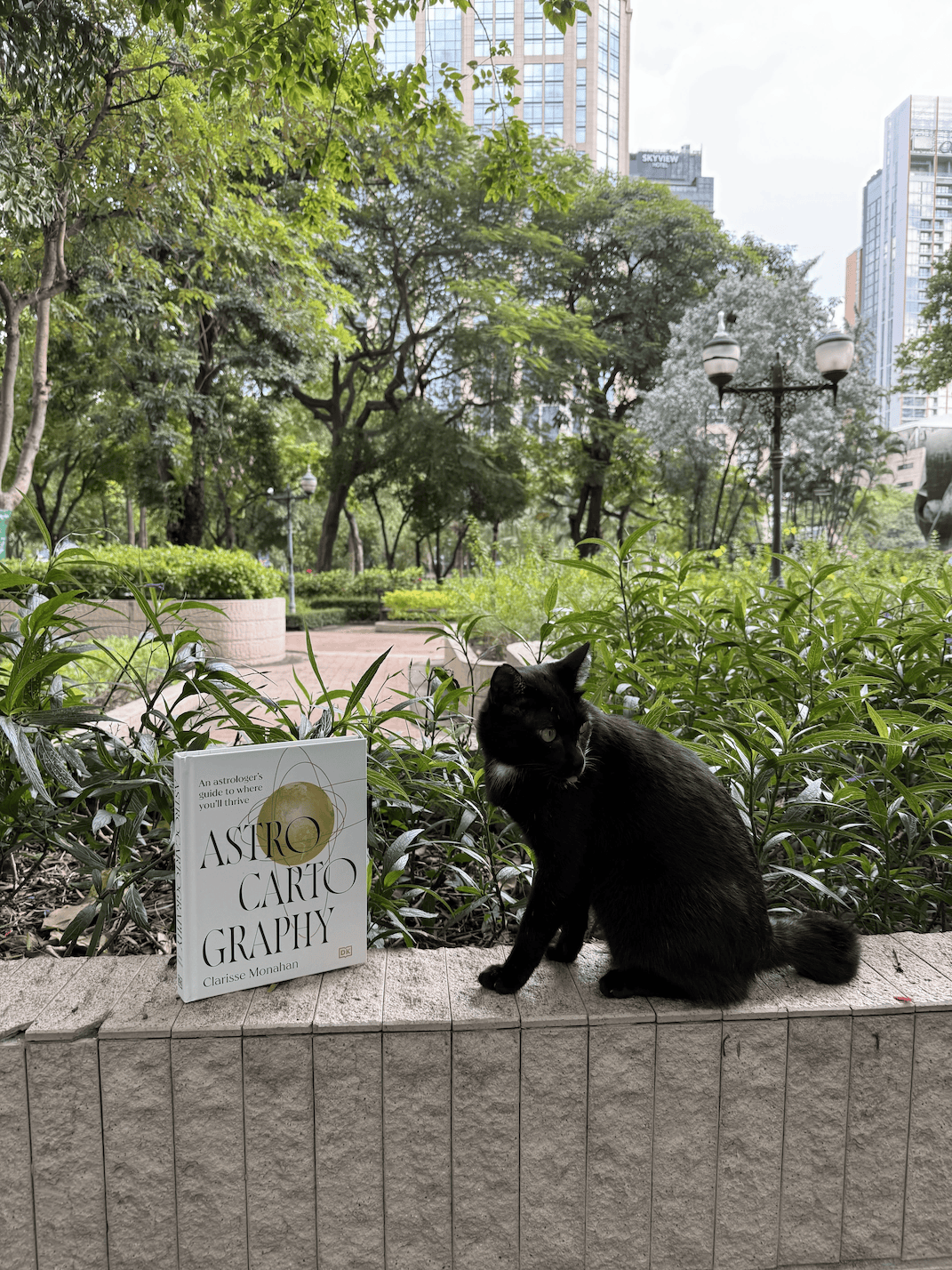 Astrocartography book in nature with cats