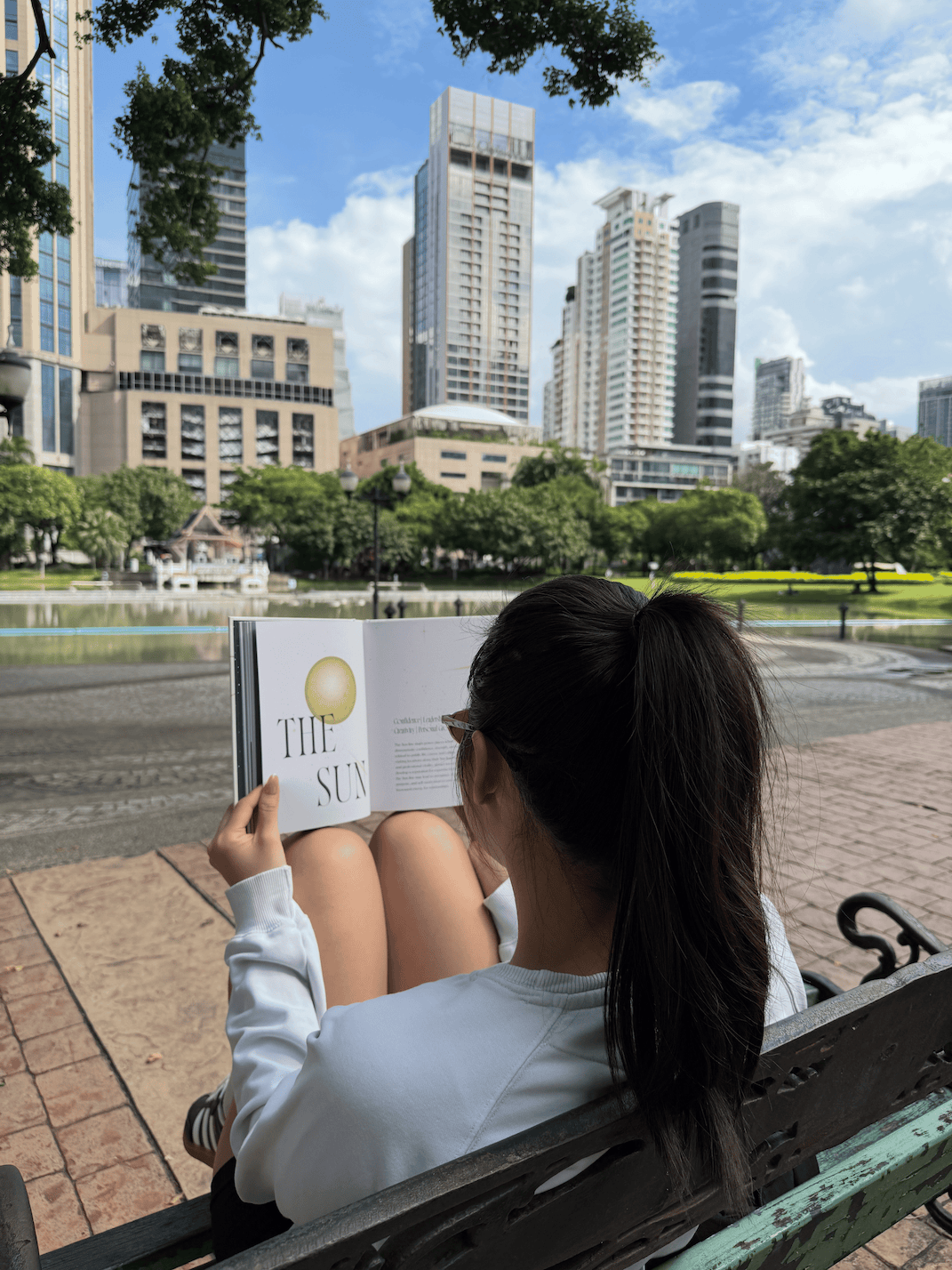 Astrocartography book in nature with cats